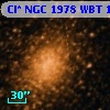 Cl* NGC 1978    WBT    1538
