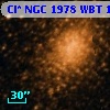 Cl* NGC 1978    WBT    1557