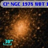 Cl* NGC 1978    WBT    1566