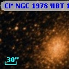 Cl* NGC 1978    WBT    1591