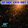 Cl* NGC 1978    WBT    1625
