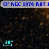 Cl* NGC 1978    WBT    1627