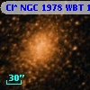 Cl* NGC 1978    WBT    1635