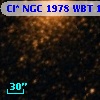 Cl* NGC 1978    WBT    1636
