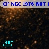 Cl* NGC 1978    WBT    1641