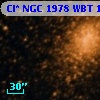 Cl* NGC 1978    WBT    1643