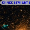 Cl* NGC 1978    WBT    1649