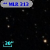 ** MLR   313