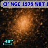 Cl* NGC 1978    WBT    1666