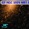 Cl* NGC 1978    WBT    1672