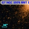 Cl* NGC 1978    WBT    1677