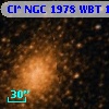 Cl* NGC 1978    WBT    1684