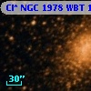 Cl* NGC 1978    WBT    1691