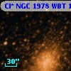 Cl* NGC 1978    WBT    1695