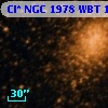 Cl* NGC 1978    WBT    1703