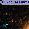 Cl* NGC 1978    WBT    1705