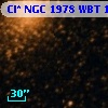 Cl* NGC 1978    WBT    1717