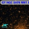 Cl* NGC 1978    WBT    1748