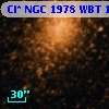 Cl* NGC 1978    WBT    1775