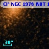 Cl* NGC 1978    WBT    1776