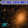Cl* NGC 1978    WBT    1813