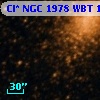 Cl* NGC 1978    WBT    1831