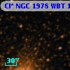 Cl* NGC 1978    WBT    1861