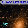 Cl* NGC 1978    WBT    1901