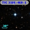 TYC 3166-460-1