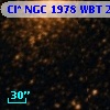 Cl* NGC 1978    WBT    2041