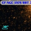 Cl* NGC 1978    WBT    2071