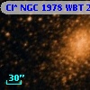 Cl* NGC 1978    WBT    2084