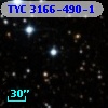 TYC 3166-490-1