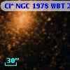Cl* NGC 1978    WBT    2107