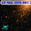 Cl* NGC 1978    WBT    2133