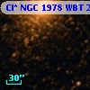 Cl* NGC 1978    WBT    2135