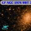 Cl* NGC 1978    WBT    2141