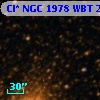 Cl* NGC 1978    WBT    2146
