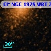 Cl* NGC 1978    WBT    2147