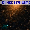 Cl* NGC 1978    WBT    2162