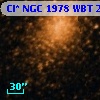 Cl* NGC 1978    WBT    2163