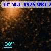 Cl* NGC 1978    WBT    2174