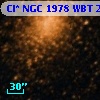 Cl* NGC 1978    WBT    2175