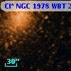 Cl* NGC 1978    WBT    2184
