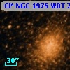 Cl* NGC 1978    WBT    2185