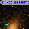 Cl* NGC 1978    WBT    2195
