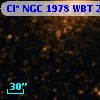 Cl* NGC 1978    WBT    2205