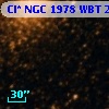 Cl* NGC 1978    WBT    2238