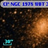 Cl* NGC 1978    WBT    2245