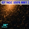 Cl* NGC 1978    WBT    2252